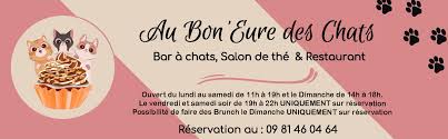 Salon de thé Restaurant et Bar à Chat Au Bon'Eure des Chats