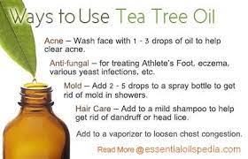 Melaleuca Tea Tree Essential Oils Pedia Tea Tree Oil For Acne Tea Tree Oil Tea Tree Oil Benefits
