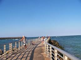 My camping trip to sebastian inlet was eventful! Paradise Awaits At Sebastian Inlet State Park Melbourne Beach Fl Outdoor Troop