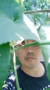 Lets go! 89k Flowers🗣️🤸‍♀️🏃‍♂️, #fbreels2025ツ #contentcreator  #nonfollowers #algorithm #fbyシvideo #fypシ゚viralシ #letsgo