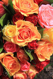 Sold by bigfly and ships from amazon fulfillment. Rote Orange Und Gelbe Rosen In Einer Gemischten Rosenstrauss Lizenzfreie Fotos Bilder Und Stock Fotografie Image 14735218