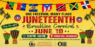 Juneteenth Carnival: One Freedom, Many Flags!