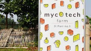 Indonesian Startup Mycotech Won The 2019 Seed Awards Start Up United Nations Development Program United Nations Environment Programme
