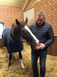 Sandro hit is a 1993 oldenburg stallion that has been successful in dressage competition and as a sire of numerous top foals.he stands approximately 17 hands (68 inches, 173 cm). Weihegolds Vater Blue Hors Don Schufro V Donnerhall Ist Tot