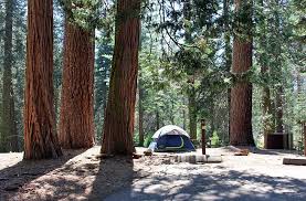 Reviews from families visiting cedar grove visitor center. 9 Best Campgrounds At Kings Canyon National Park Ca Planetware