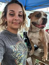 God led us to a blue heeler