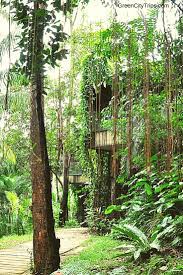 Outside Area Siloso Beach Resort In Sentosa Island Singapore Green City Trips Http Greencitytrips Com Destin Singapore Activities In Singapore Green City