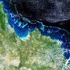 Evidence the reef is in trouble has been building for years, federal opposition environment. Https Encrypted Tbn0 Gstatic Com Images Q Tbn And9gctscapzz0v 5w9mwqzzobi Zuh4tno8lfwctahktpswcfdgt8ux Usqp Cau