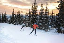 The Best Cross Country Skis And How To Choose Them Gearjunkie