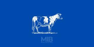 If your average canterbury farm land is valued at $32,000/ha, then 270ha*32,000=$8,640,000 total land value. How To Start Dairy Farming In 7 Steps Business Plan Makeinbusiness