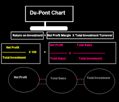 Du Pont Control Chart Accounting Education