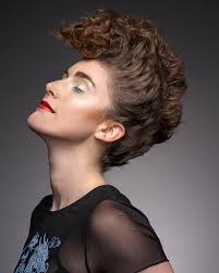 Mohawk Hairstyle Photos