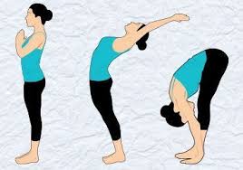 Sun Salutation Yoga Or Surya Namaskar Yoga Is Important And Powerful Among All The Asanas These Are The Yoga For Beginners Surya Namaskar Yoga Sun Salutation