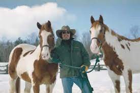 Information About The Five Different Horses That Were Used To Portray Hidalgo In The Film By The Same Name American Paint Horse Horse Love Horses