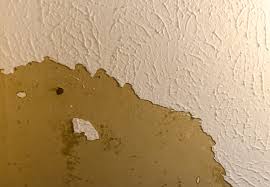 How To Cover Popcorn Ceiling Without Removing It Dallas Paints