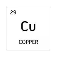 Black And White Element Cell For Copper Science Fair Projects Science Fair Fair Projects