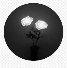 Wistful looks out the window. Tumblr Rose Png Tumblr Aesthetic Black Roses Rose Light Black And White Aesthetic White Rose Png Free Transparent Png Images Pngaaa Com