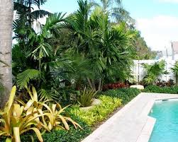 Tropical Landscape Design Ideas Contemporary Tropical Poolside Garden Patio Design Creating A Tropica Tropical Landscaping Landscape Design Beautiful Gardens