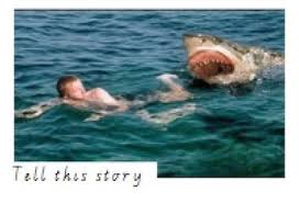 Writing Picture Prompts Great White Shark Attack White Sharks Shark Attack