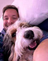 Benji The Bernedoodle‎