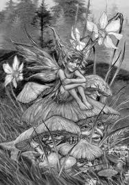 Fairy Sitting On A Mushroom With A Face Fairy Coloring Pages Fairy Coloring Fairy Drawings I started drawing on the back of a class hand out and felt compelled to finish it.