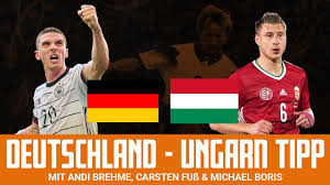 Polen braucht gegen schweden einen sieg zum weiterkommen. Irqlruvxpu57bm