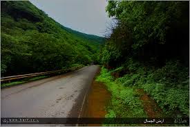 صور رائعة - صفحة 11 Images?q=tbn:ANd9GcTeawp8ATi18fo6Lg6L2oNGb6je9utnBAidy0UcW71WB93cjncV