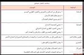 وظيفة الجهاز الهيكلي بيت العلم