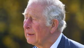 Het laatste nieuws met duiding van redacteuren, achtergronden, columns, opinie, wetenschap, en recensies van kunst & cultuur door het parool. Kate Middleton The Best Photos For Filippo Carlo In Tears World Today News