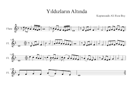 yildizlarin altinda notalari notalara dokulmus muzik flut yildizlarin altinda