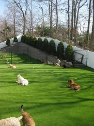 Maybe you would like to learn more about one of these? How To Lay Artificial Turf For Dogs Arxiusarquitectura