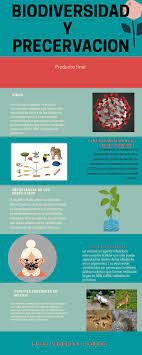 Pin En Contenidos Curriculares