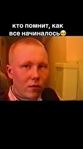 Грибы Исполнитель