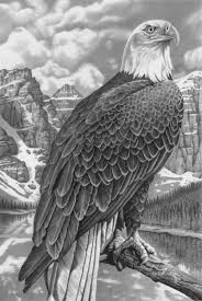 Bald Eagle Black And White Drawing Bald Eagle By Markstewart On Deviantart Eagle Drawing Bald Eagle Eagle Art