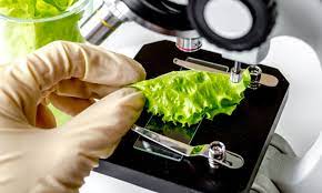 We did not find results for: Managing The Risks Of Clostridium Botulinum In Chilled Foods
