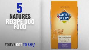 Top 5 Natures Recipe Dog Food 2018 Best Sellers Natures Recipe Adult Dog Food Dry Lamb Meal