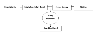 2.2 fuzzy mamdani beberapa model fuzzy logic banyak diterapkan dalam menyelesaikan berbagai permasalahan, salah satunya adalah fuzzy mamdani. Review Jurnal Artificial Intelligence Menentukan Kualitas Kehamilan Pada Wanita Pekerja Arrafi Ramadhana Annasai