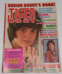 TIGER BEAT 8-79 EVIGAN, ERIK, DANZA, SHAUN, WILLIE, LEIF, P BARTON,  SCHNEIDER
