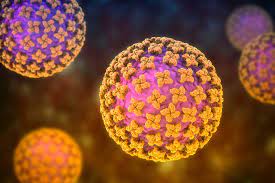 Hantavirus' is a family of viruses that spread by rodents. The Next Pandemic Hantavirus Gavi The Vaccine Alliance