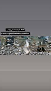 Seyma Caliskan Adli Kullanicinin Iphone Duvar Kagitlari Panosundaki Pin Inanc Sozleri Dini Alintilar Ilham Verici Sozler