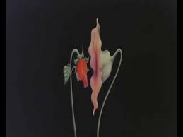 Check spelling or type a new query. Pink Floyd Gerald Scarfe Animation What Shall We Do Now Youtube