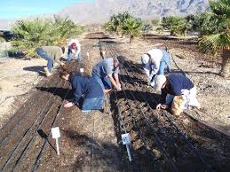Check spelling or type a new query. Soil Preparation Crucial To Good Vegetable Garden Las Vegas Review Journal