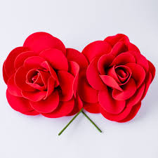 We did not find results for: Red Paper Flowers Backdrop Rwanda 24