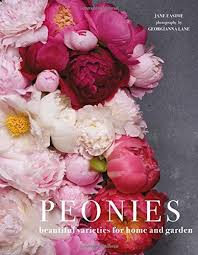 But even tough perennials can encounter issues, and peony problems, including peony diseases, peony wilt and the dreaded peonies not blooming can occur. Peonies And Ants Do Peonies Attract Ants And How Do I Get Rid Of Them