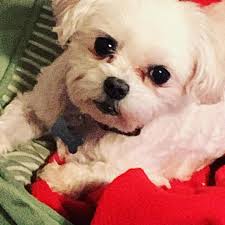 Terry Kraft (@tmpls) • Instagram photos and videos