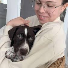 Danielle Collier's Instagram, Twitter & Facebook