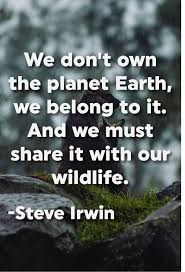 We Don T Own The Planet Earth We Belong To It And We Must Share It With Our Wildlife Steve Irwin Nature Quotes Earth Quotes Mother Nature Quotes