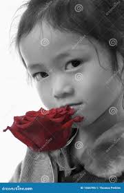 1,807 Lost Concentration Stock Photos