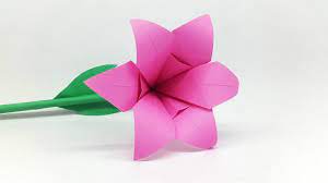 Pin On Paper Flowers