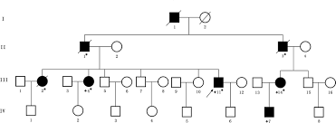 pedigree structure of the chinese family with familial